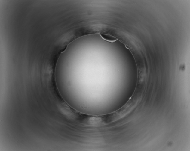 X0000103170279200808221241