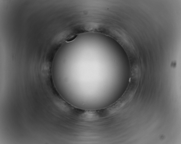 X0000103170280200808221241