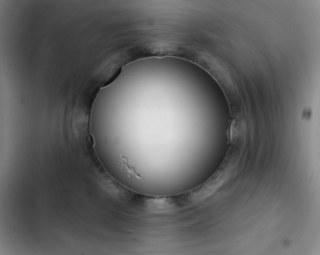 X0000103170281200808221241