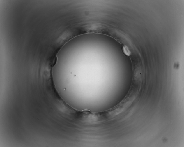 X0000103170282200808221241