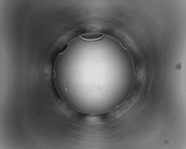 X0000103170283200808221241