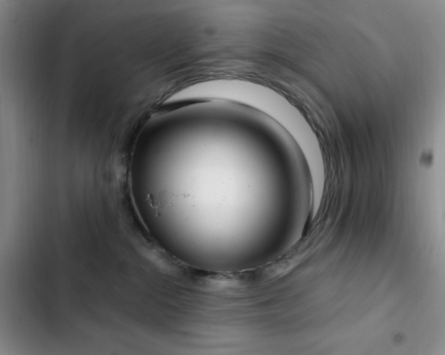 X0000103170284200808221241