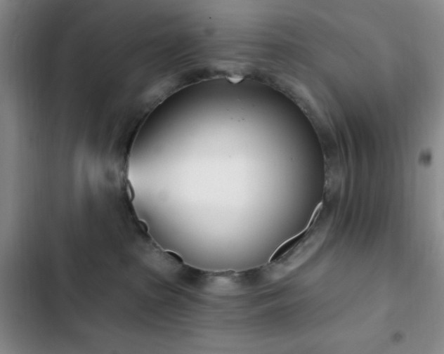 X0000103170285200808221241