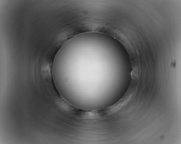 X0000103170286200808221241