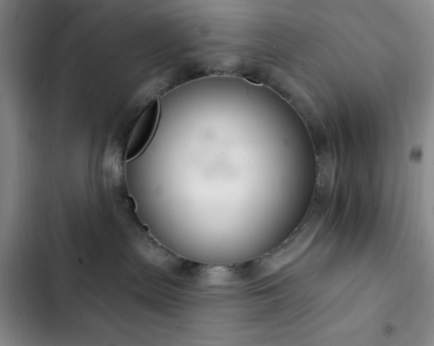 X0000103170287200808221242