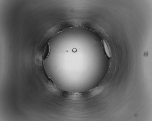 X0000103170288200808221242