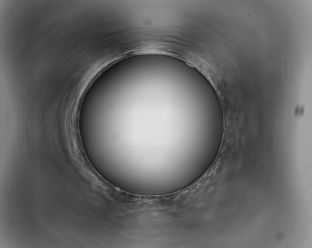 X0000103170289200808221241