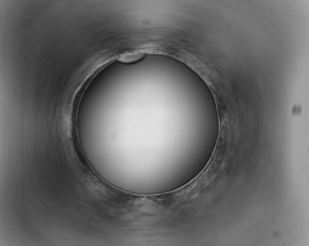 X0000103170290200808221241