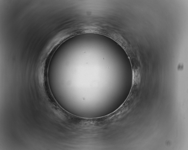 X0000103170291200808221241