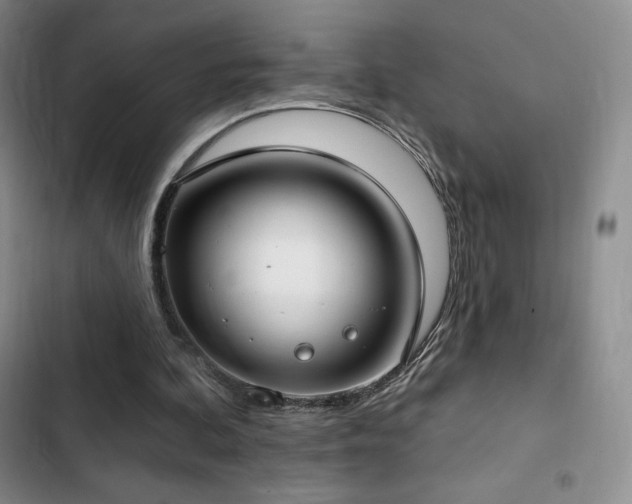 X0000103170292200808221241