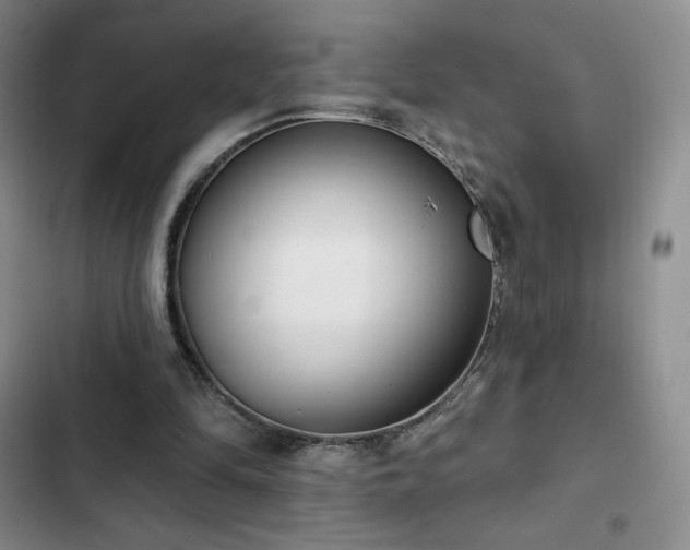 X0000103170294200808221241