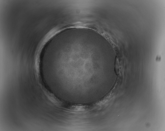 X0000103170295200808221241