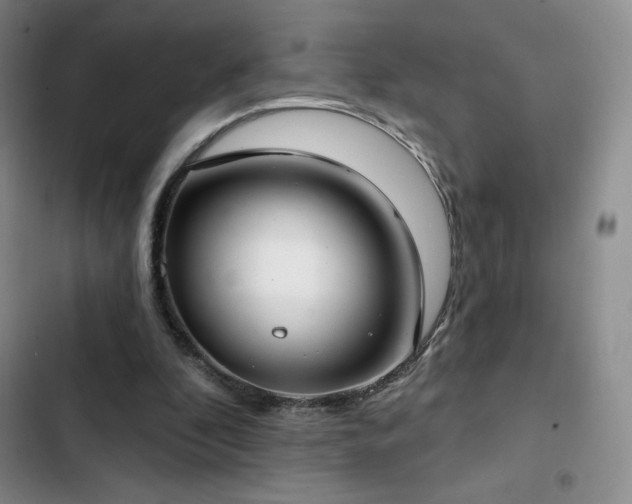 X0000103170296200808221241