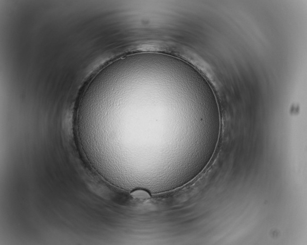 X0000103170297200808221241