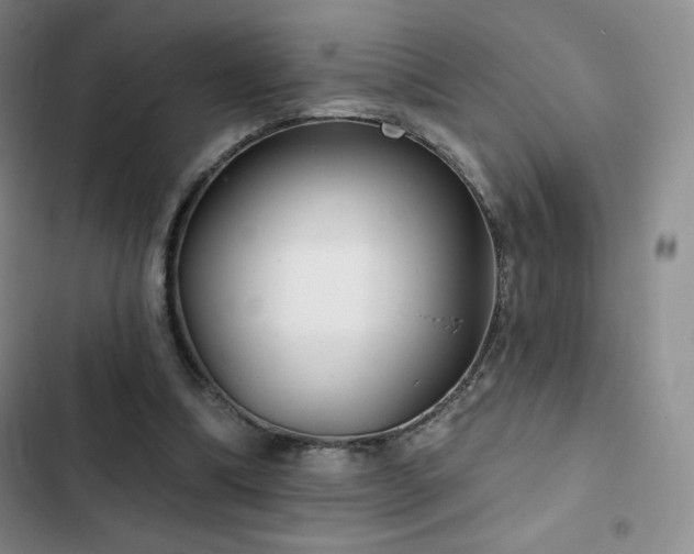 X0000103170298200808221241