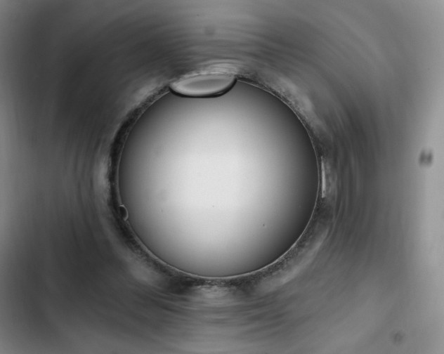 X0000103170300200808221241