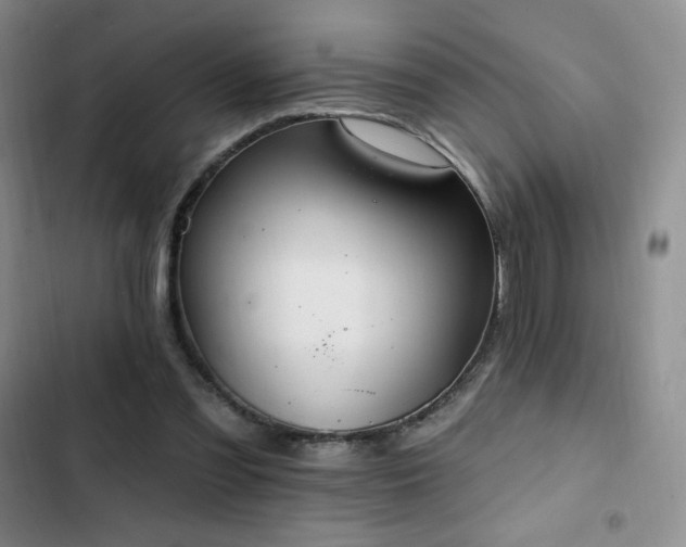 X0000103170301200808221240