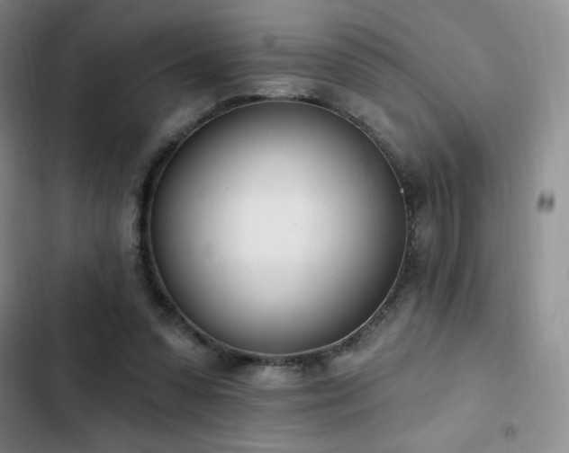 X0000103170303200808221240