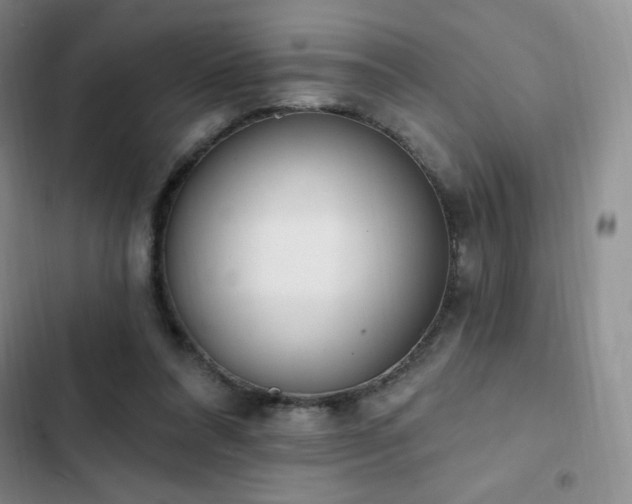 X0000103170304200808221240