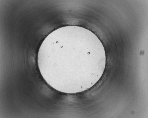 X0000103170305200808221240