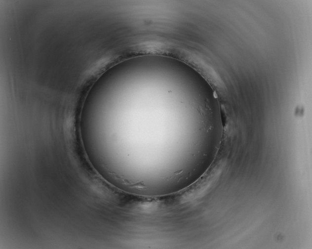 X0000103170306200808221240