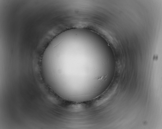 X0000103170307200808221240