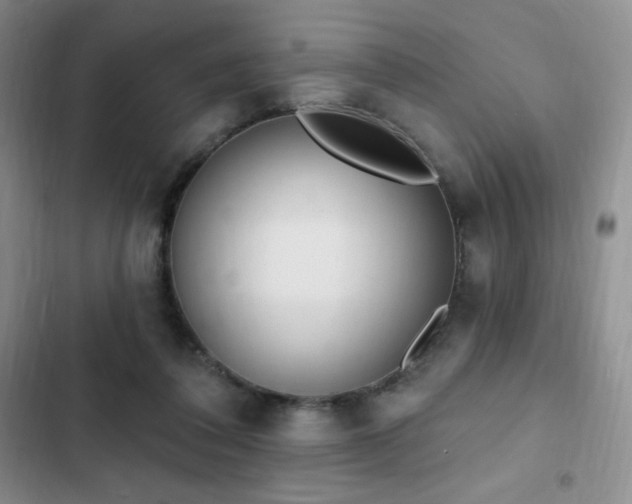 X0000103170308200808221240