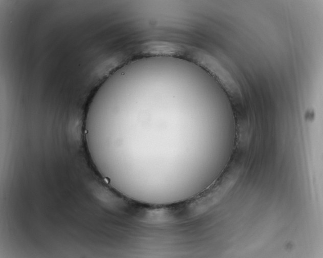 X0000103170309200808221240