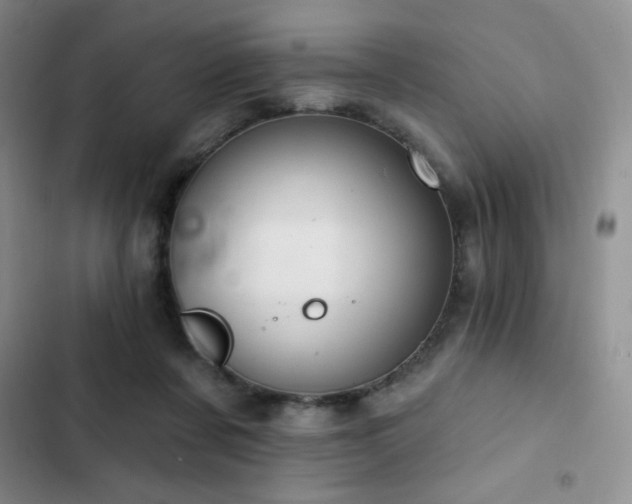 X0000103170311200808221240