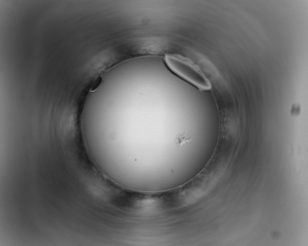 X0000103170312200808221240