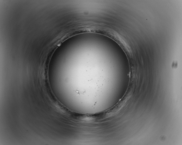 X0000103170313200808221240