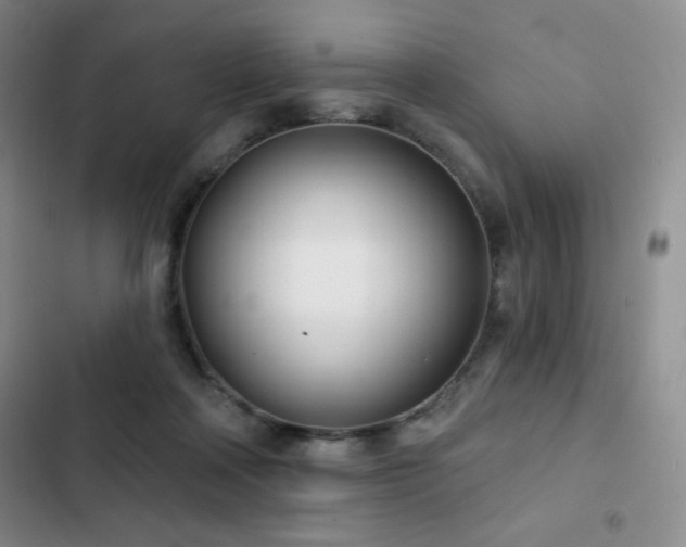 X0000103170314200808221240