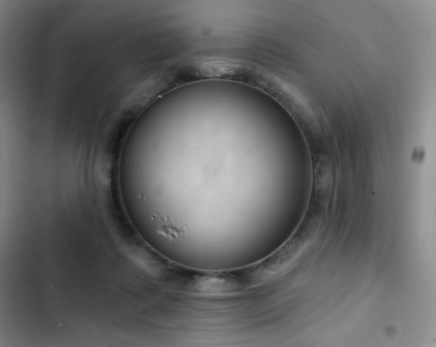 X0000103170315200808221240