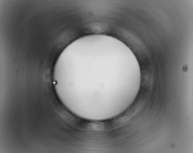 X0000103170317200808221240