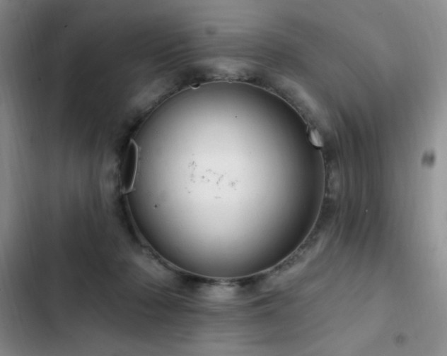 X0000103170318200808221240