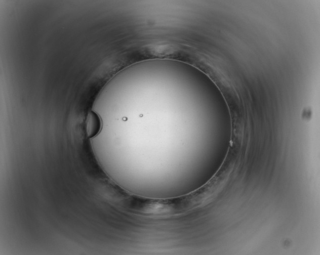 X0000103170319200808221240