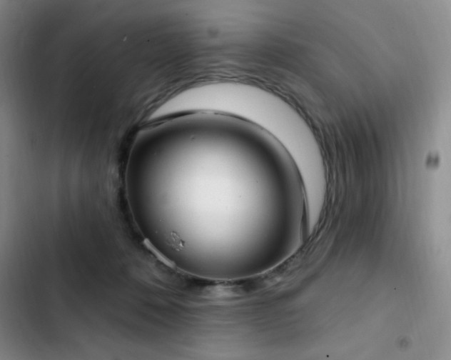 X0000103170320200808221240