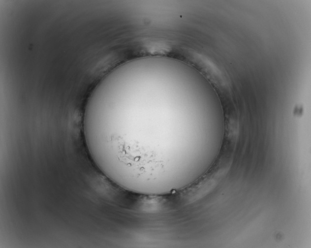 X0000103170321200808221240