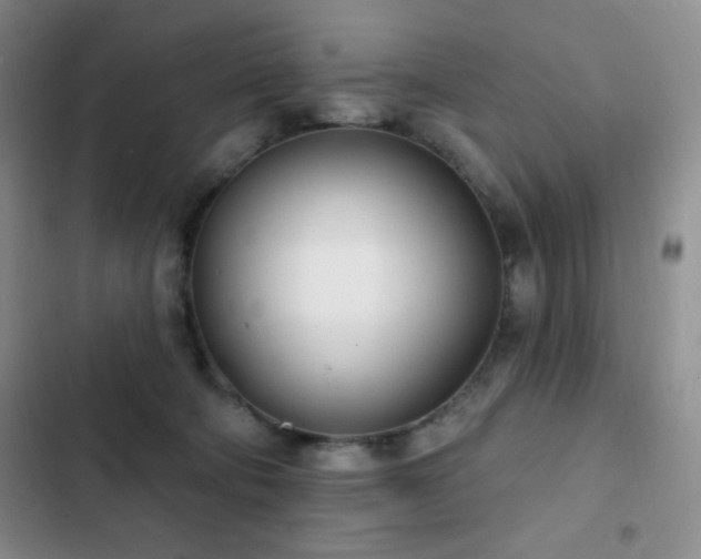 X0000103170322200808221240