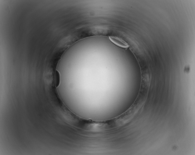 X0000103170323200808221240