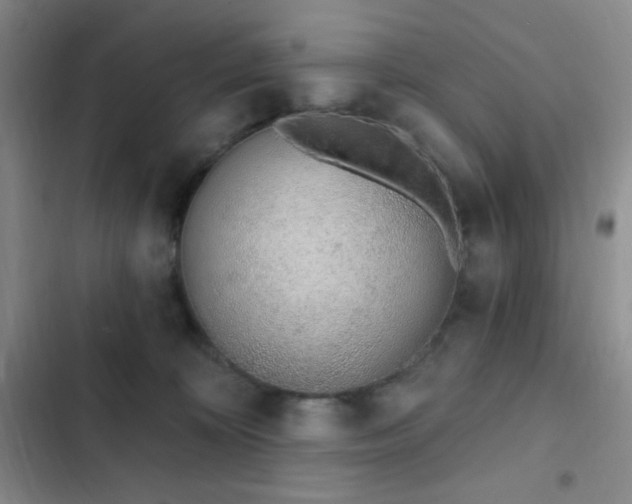 X0000103170324200808221240