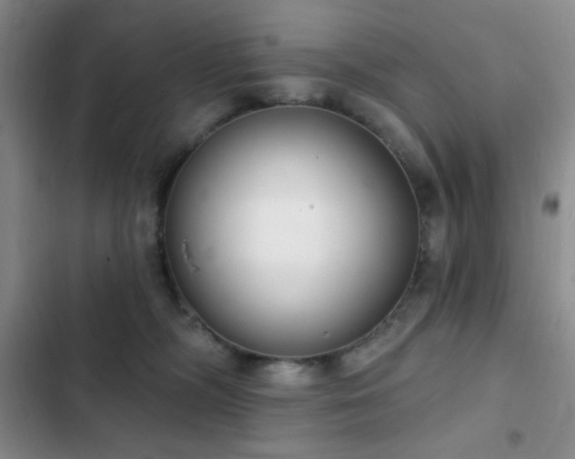 X0000103170326200808221240