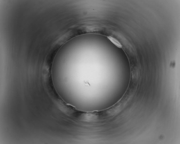 X0000103170327200808221240