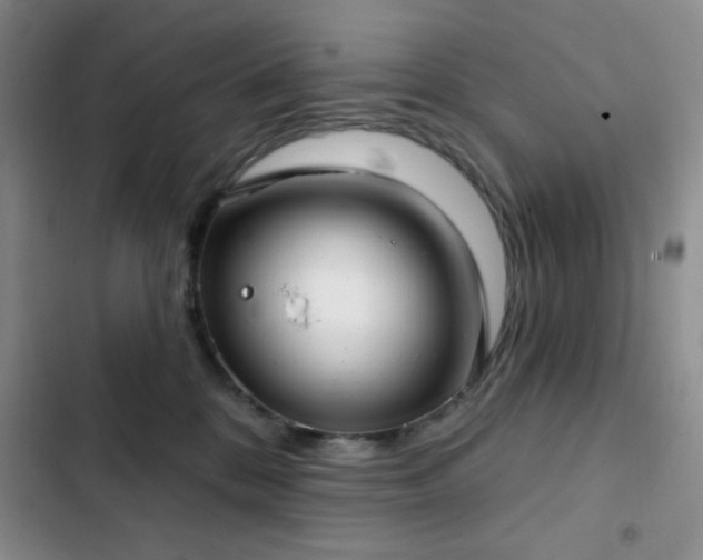 X0000103170328200808221240