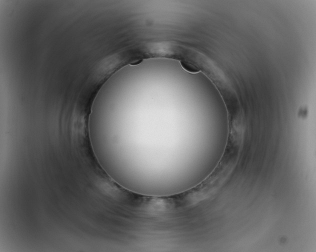 X0000103170330200808221240