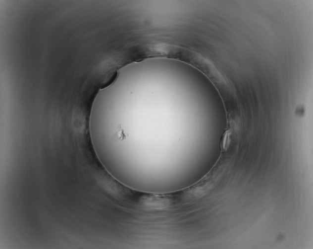 X0000103170331200808221240