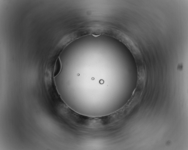 X0000103170333200808221240