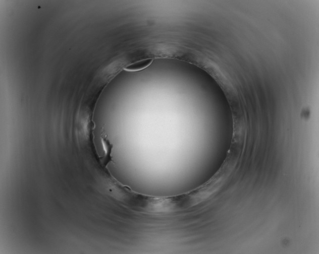 X0000103170334200808221240