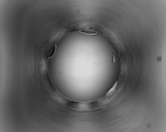 X0000103170335200808221240