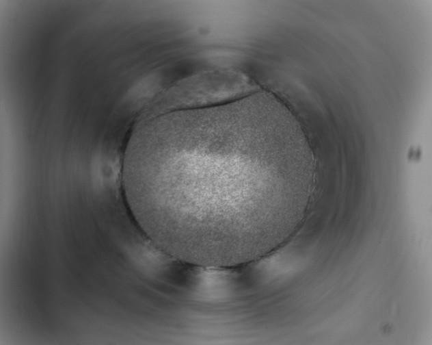 X0000103170336200808221240